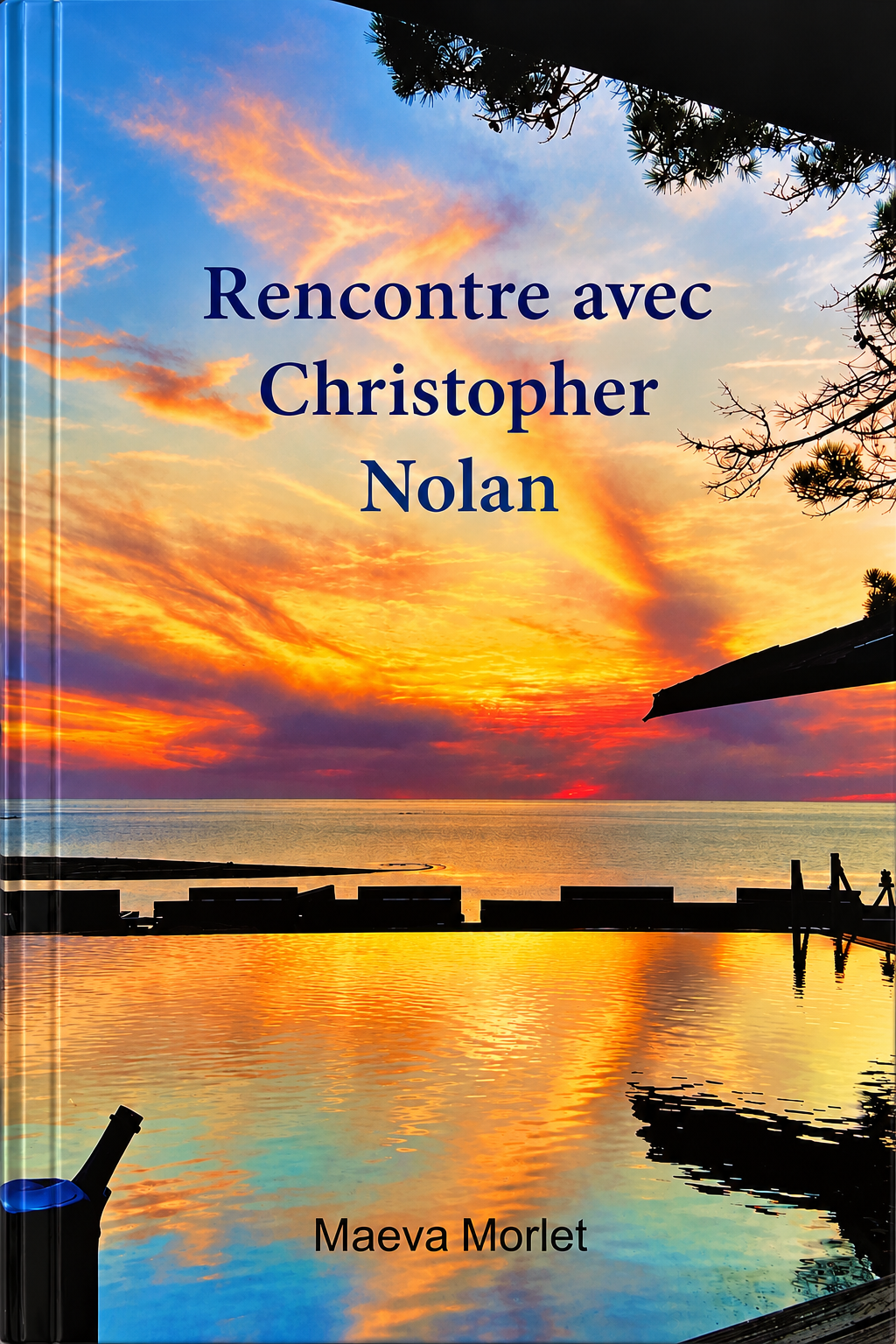 Rencontre avec Christopher Nolan version Ebook